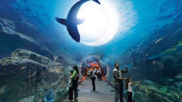 Dubai Aquarium & Underwater Zoo