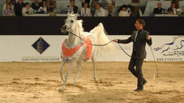 Dubai International Horse Fair