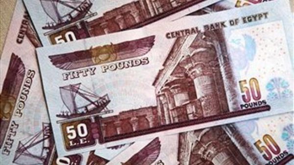 فقد الاحتياطي النقدي الأجنبي لدى البنك المركزي المصري نحو 9.5 مليار دولار خلال الأشهر الخمسة الأولى من العام الحالي يعني خطورة كبرى على اقتصاد مصر