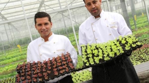 Etihad organics