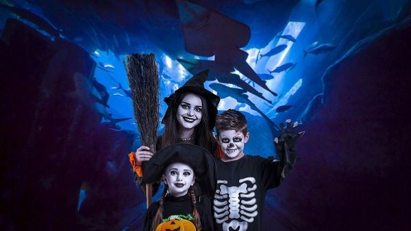 Emaar Entertainment is celebrating Halloween with fantastic activities and special offers. Emaar Entertainment is celebrating Halloween with fantastic activities and special offers.