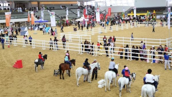أطفال يستمتعون بركوب الأمهر ضمن الفعاليات التي نظمتها مؤسسة قطر للاحتفال باليوم الرياضي للدولة.