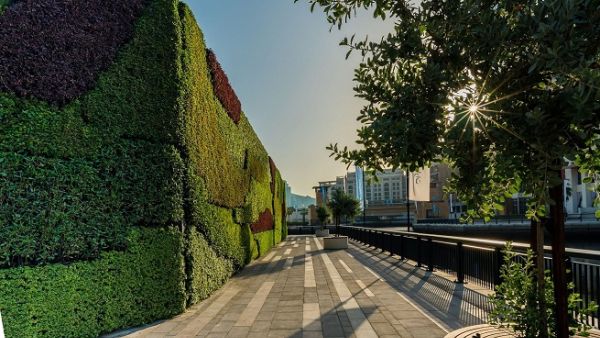 Middle East’s largest living green wall at Dubai Wharf. Middle East’s largest living green wall at Dubai Wharf.