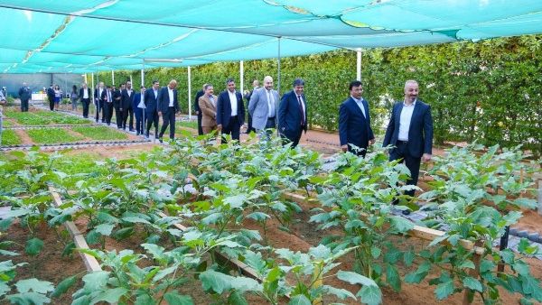 WHG at Ramada Ajman Urban Farm