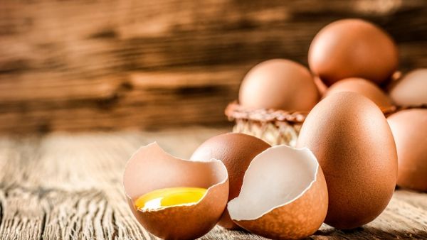 Samples of food products are transferred to labs to ensure they are safe. (Shutterstock)