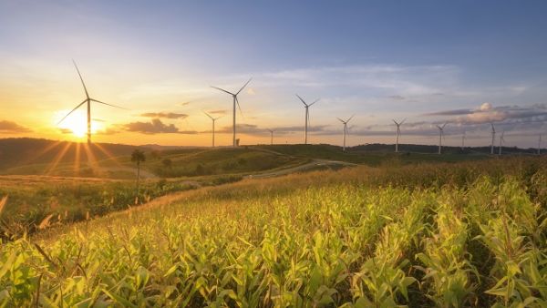 The installed wind power capacity in the country currently stands at over 7,000 megawatts. (Shutterstock)