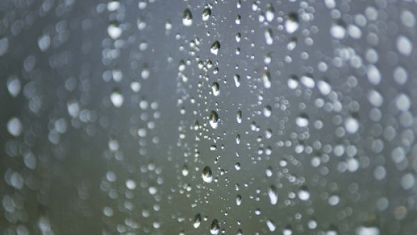 دعاء نزول المطر