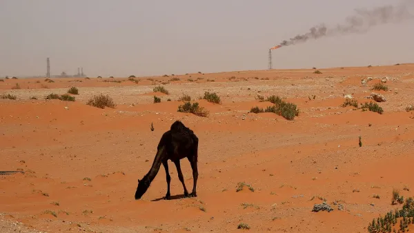 A camel wanders as an oil instillation looms in the distance in Saudi Arabia.  While countries like Saudi Arabia are reliant on the sale of oil, this production contributes to harmful climate change that may make much of the region uninhabitable by 2100, writes Juan Cole.  (AFP/Marwan Naamani)