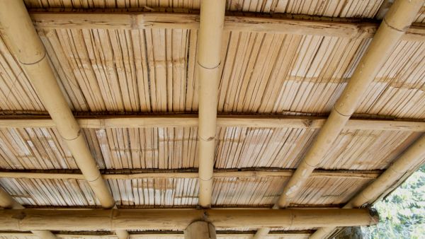 The houses are going to be cheaper than wood and way cheaper than concrete housing (Shutterstock/File)
