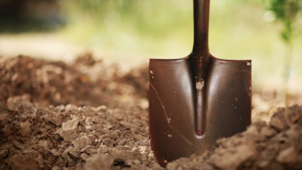 Well, well, well what have we dug here? (Shutterstock)