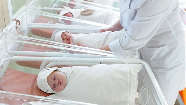 Babies in a maternity ward. (Shutterstock)