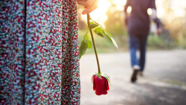 يجد مولود برج الثور، صعوبة في فقدان الأشخاص المحبوبين لديه  (shutterstock.com)

