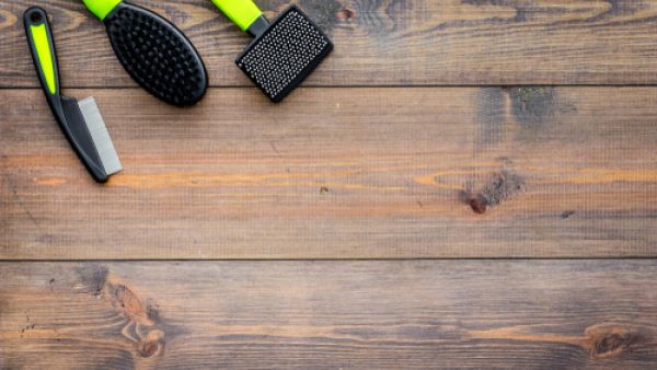 عليكِ أن تعرفي الفروق بين فرش الشعر المختلفة لتختاري الأنسب (shutterstock.com)
