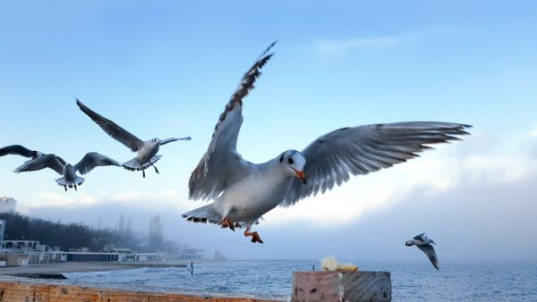 (Shutterstock/File Photo)