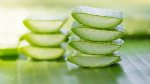 تعمل خلاصة الصبار على تجديد خلايا البشرة لتبدو أكثر نضارة (shutterstock.com)
