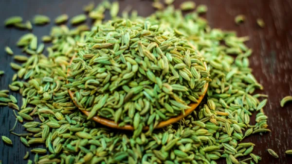 يعمل الشمر على تقويه مناعة الجسم (shutterstock.com)
