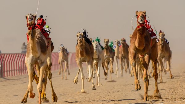 (Shutterstock/ File)