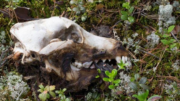 (Shutterstock/File Photo)