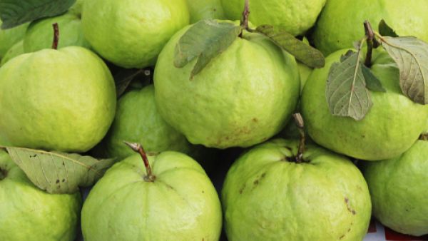 لنتائج أفضل كرري هذه الوصفة يوميًا لمدة أسبوع (shutterstock.com)
