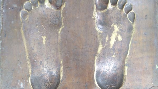 (Shutterstock/ File Photo)