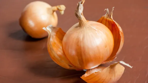 تتفوق قشور البصل على ثمارها من حيث خصائصها المضادة للأكسدة (shutterstock.com)
