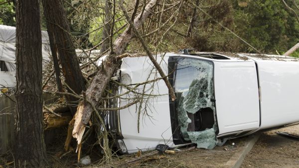 (Shutterstock/ File Photo)