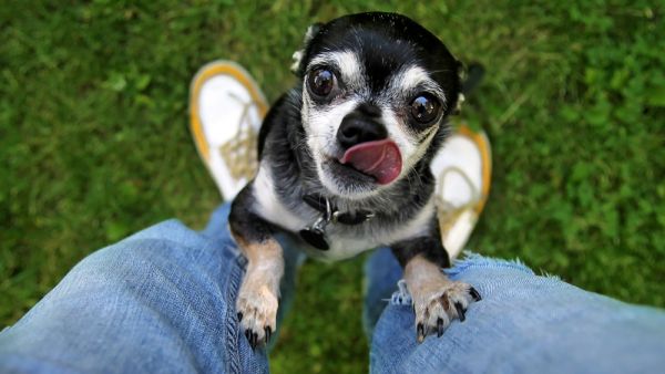 (Shutterstock/ File Photo)