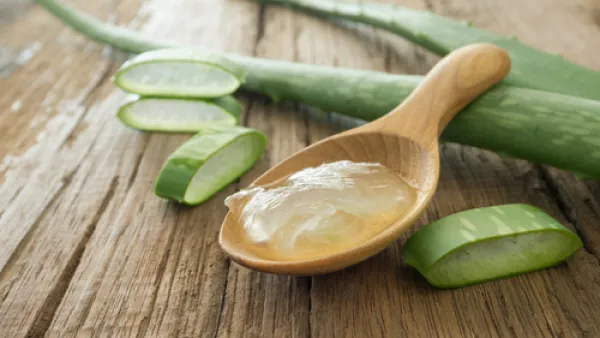 يعتبر قناع الألوفيرا من أكثر العناصر التي تقوم بتنظيف البشرة بشكل عميق (shutterstock.com)

