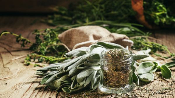 الميرمية هي احدى الأعشاب العطرية المعمرة التي تتمتع بالعديد من الفوائد الصحي (shutterstock.com)
