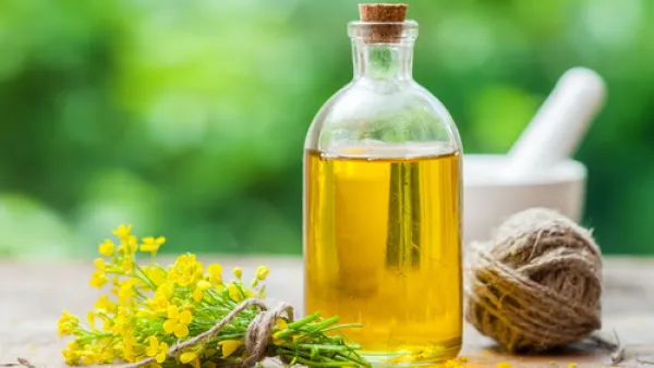 زيت الكانولا عبارة عن خلاصة مسحوق بذور اللفت المعدلة وراثيا (shutterstock.com)
