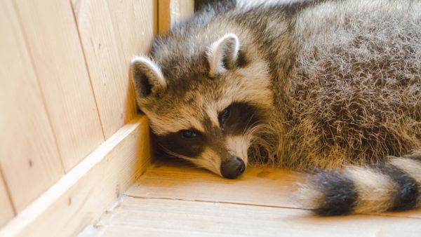 (Shutterstock/ File)