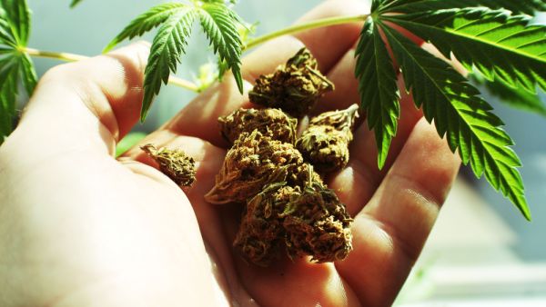 (Shutterstock/ File Photo)