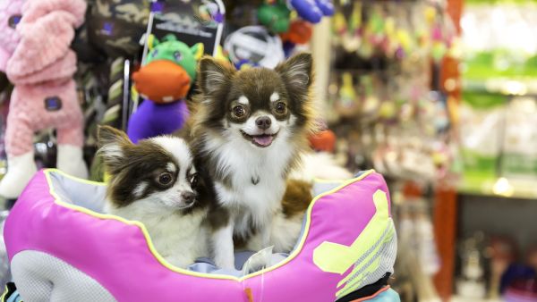 (Shutterstock/File Photo)