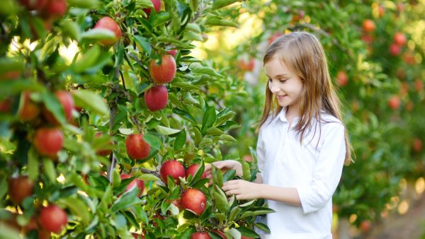 (Shutterstock/File Photo)