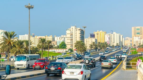 The men take several attempts at picking up the scared feline with their baseball caps (Shutterstock/File)