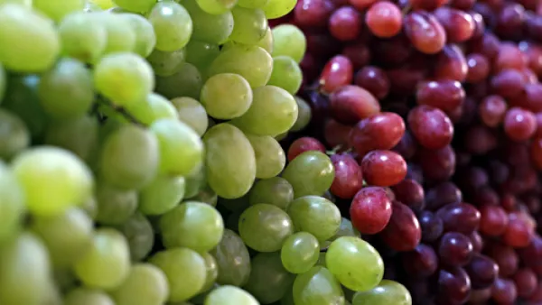 إنّ علاج العنب، وهو العلاج المفضل لدى اليونان القدماء، والعرب والرومان