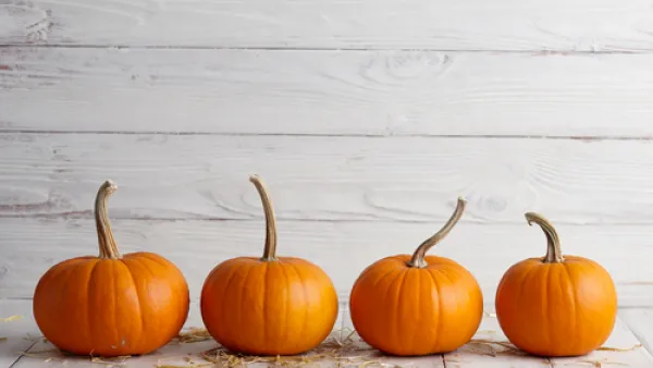 يعمل اليقطين كمضاد للأكسدة كما يحتوي على الفيتامينات الأساسية (shutterstock.com)
