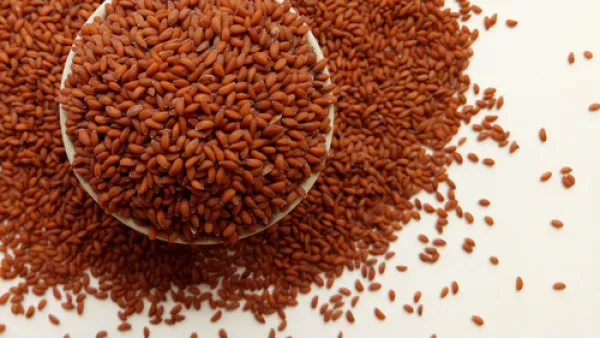 يمكن الاستفادة من حب الرشاد، في إعطاء البشرة الدهنية نضارة ونعومة (shutterstock.com)
