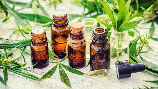 (Shutterstock/File Photo)