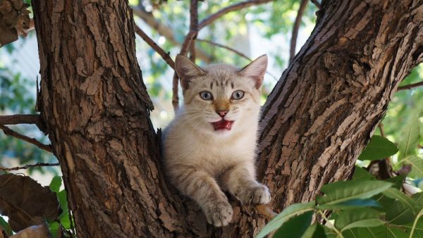 (Shutterstock/ File)