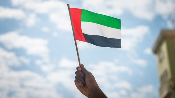 The UAE Flag Day is commemorated on November 3 every year. (Shutterstock)