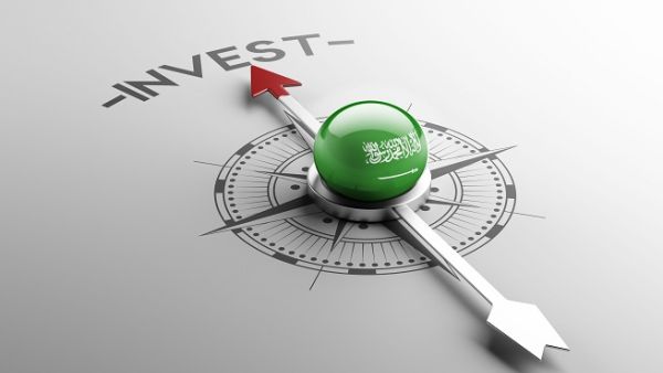 The government issued more than 700 licenses for foreign investments this year, double the number in 2017. (Shutterstock)