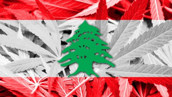 According to the UN Office on Drugs and Crime's report, Lebanon is the third largest exporter of cannabis resin in the world. (Shutterstock)