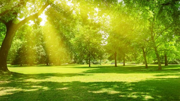 The project aims to create a “human space that will bring back the human life to Riyadh. (Shutterstock)