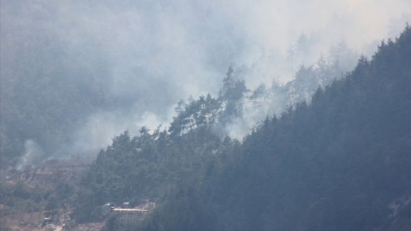 صواريخ نظام الأسد تتسبب بحريق في غابات ريف اللاذقية 