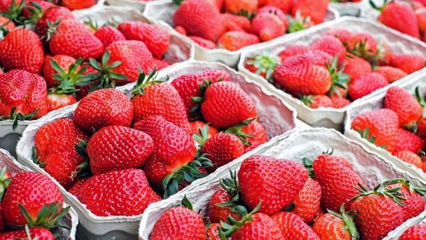 Saudi Arabia had previously enforced a two-month ban on Egyptian strawberries on July 8.  (Pixabay) Saudi Arabia had previously enforced a two-month ban on Egyptian strawberries on July 8.  (Pixabay)