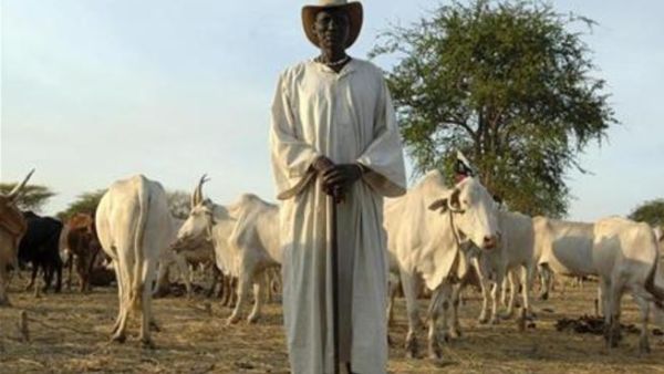 راعي ماشية من قبائل الدنكا يقف لالتقاط صورة له في مخيم بمنطقة أبيي جنوب السودان