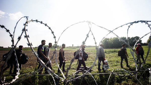 Refugees walk near the border fence between Hungary and Serbia (AFP/FILE)