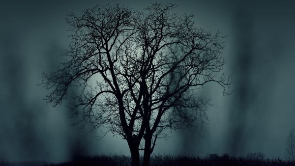 "Halloween is a Pagan festival, originating in Samhain. Those who denied this, said it has purely Christian roots. Note: that doesn’t make it much better." (Pixabay)