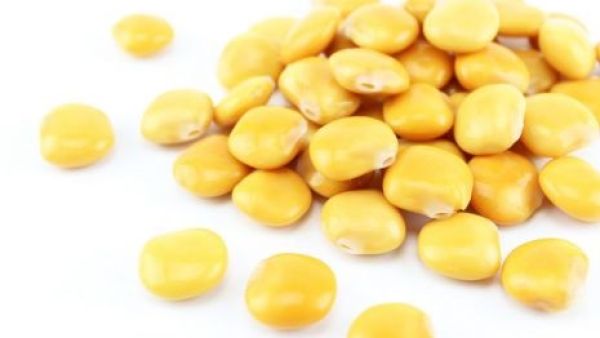 فوائد الترمس المر إزالة علامات الشيخوخة المبكرة التي تظهر على البشرة
